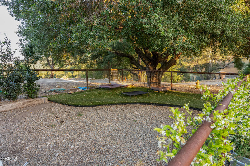 13100 Ojai Road Property Photo 56