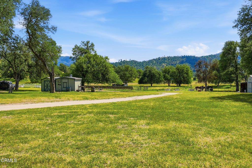 3479 Poso Flat Road Property Photo 46