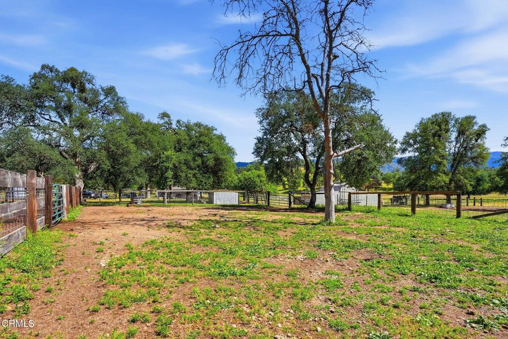 3479 Poso Flat Road Property Photo 54