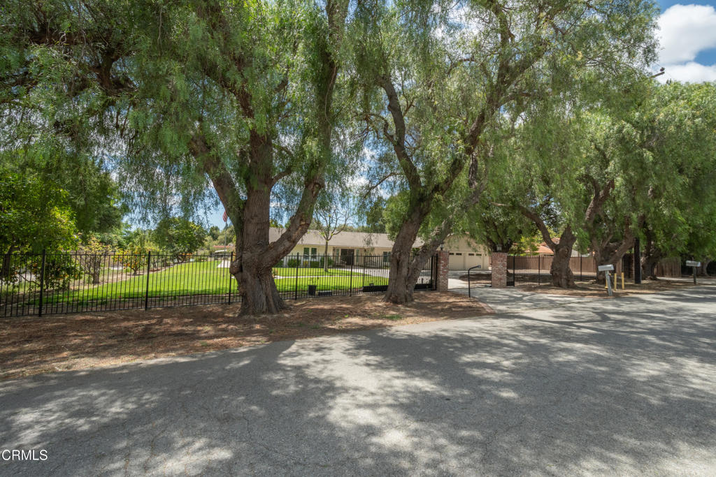 4111 Sand Canyon Road Property Photo 3