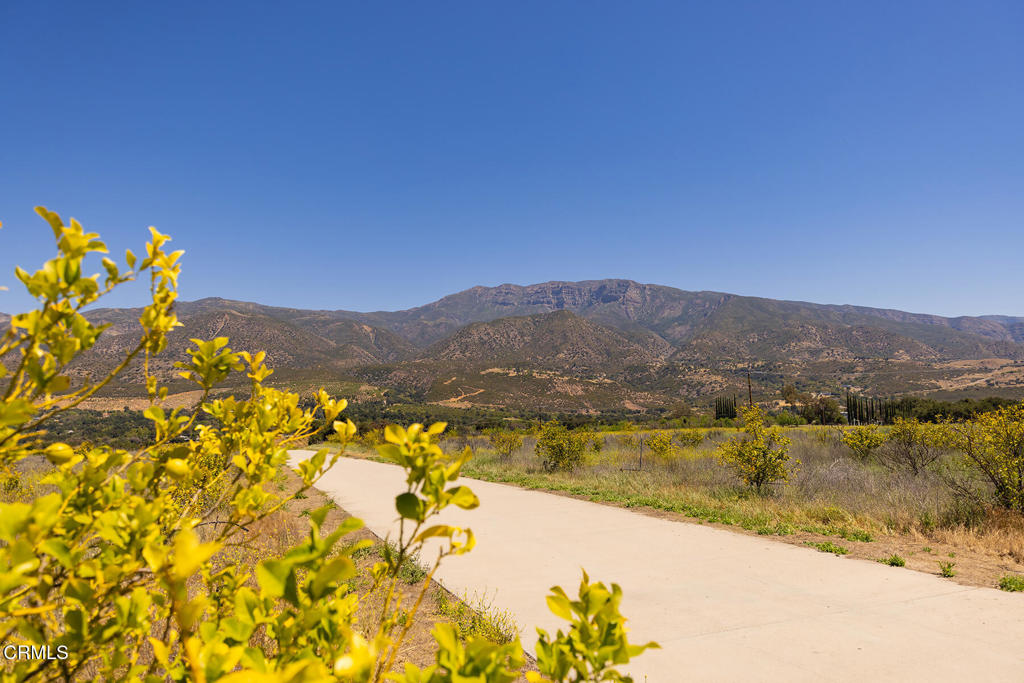 12400 Ojai Santa Paula Road Property Photo 14