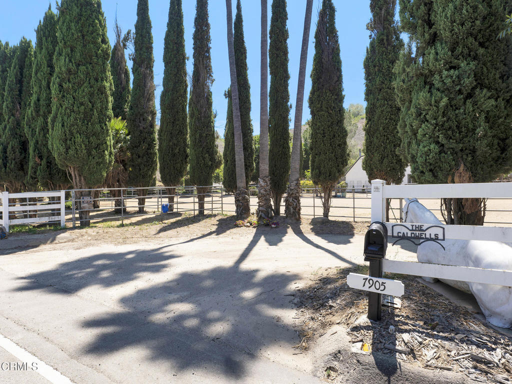 7905 Balcom Canyon Road Property Photo 2