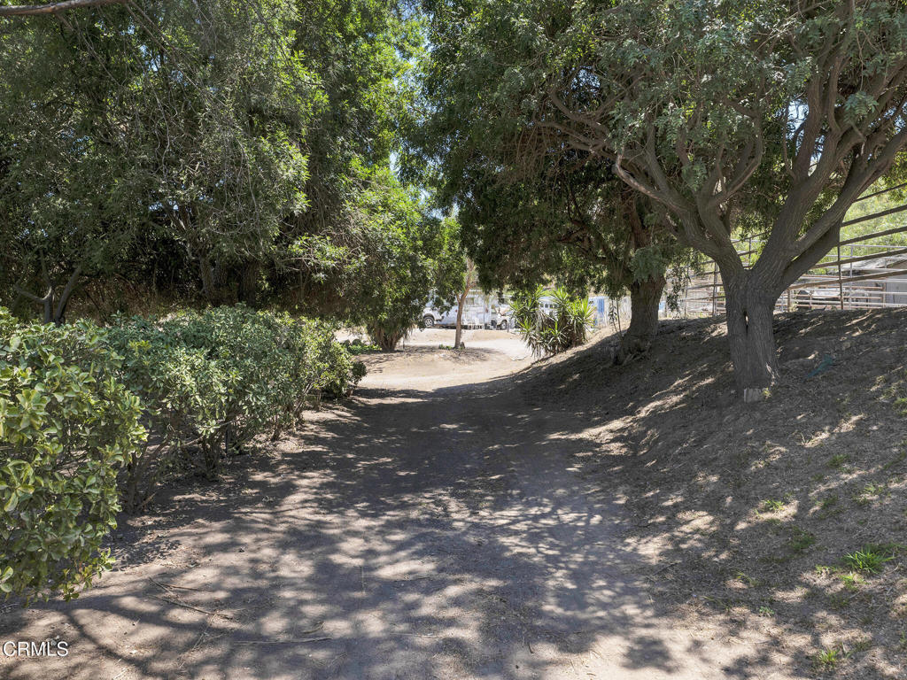 7905 Balcom Canyon Road Property Photo 52