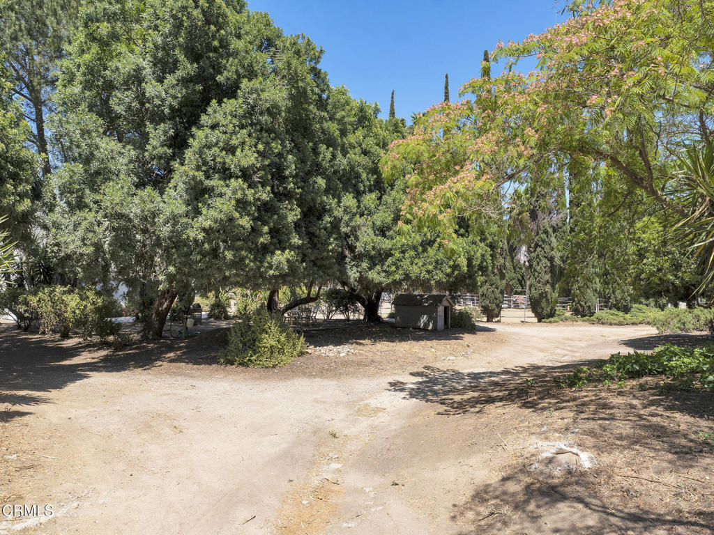 7905 Balcom Canyon Road Property Photo 53