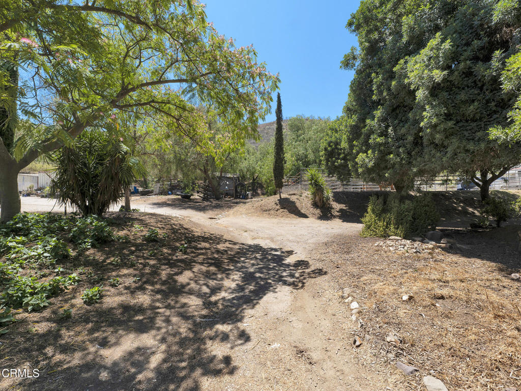 7905 Balcom Canyon Road Property Photo 55