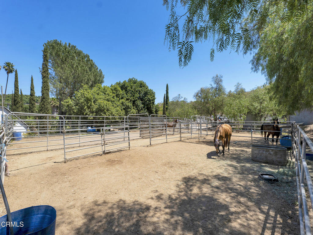 7905 Balcom Canyon Road Property Photo 56