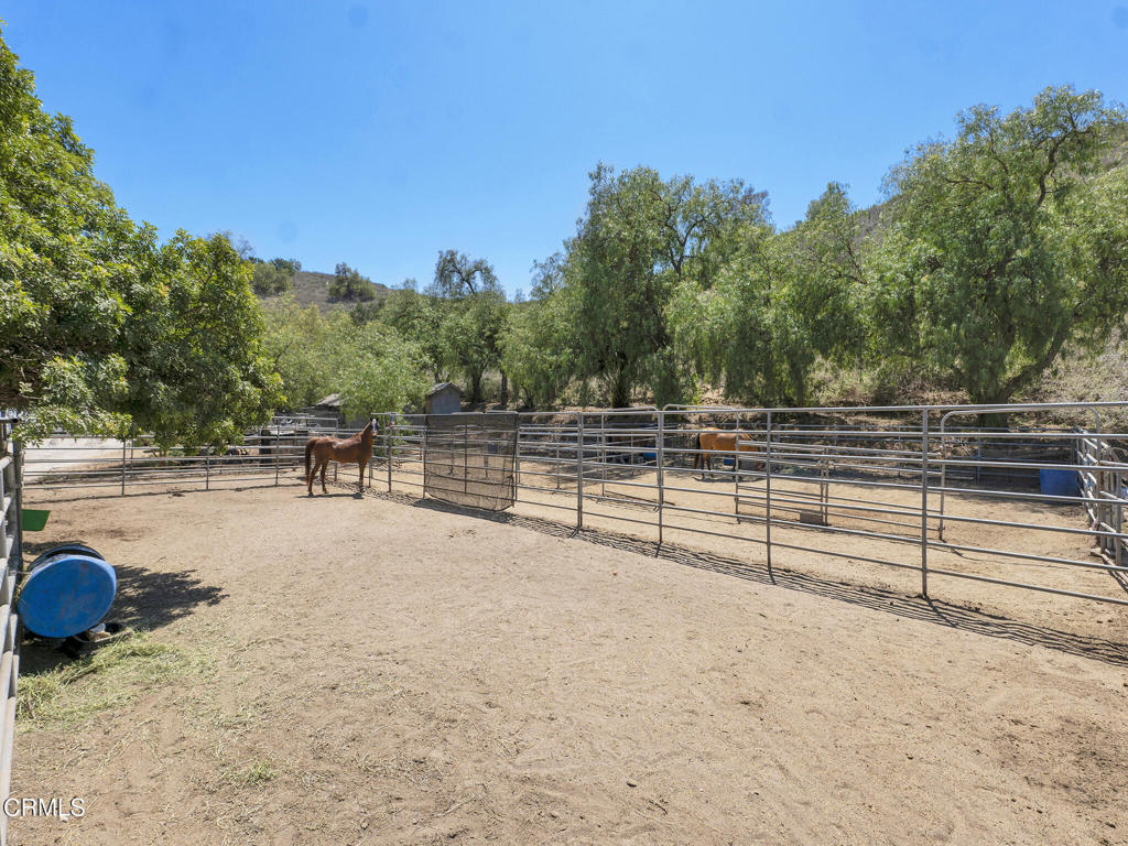 7905 Balcom Canyon Road Property Photo 58