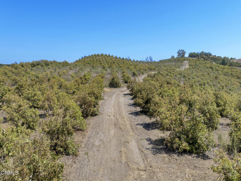 7905 Balcom Canyon Road Property Photo 71