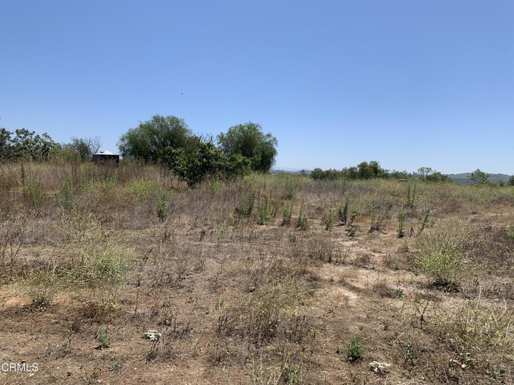 9200 Stockton Road Property Photo 6