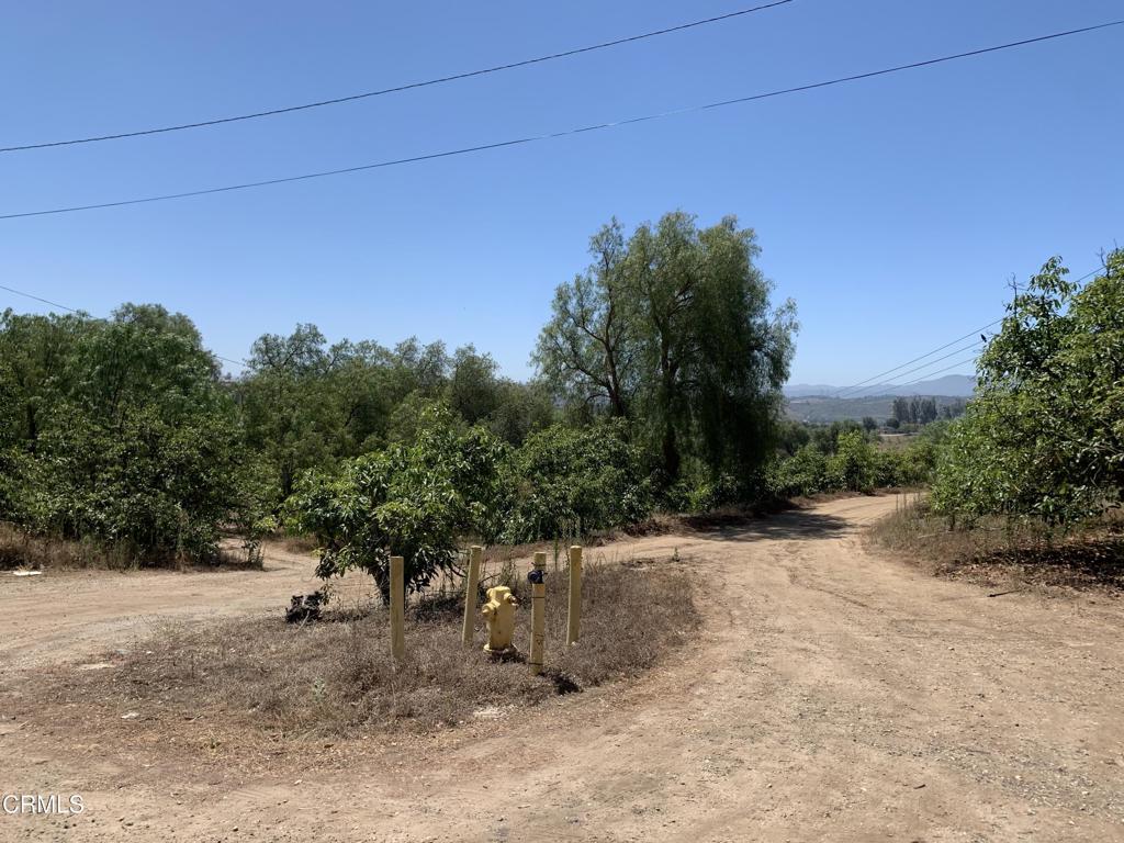 9210 Stockton Road Property Photo 15