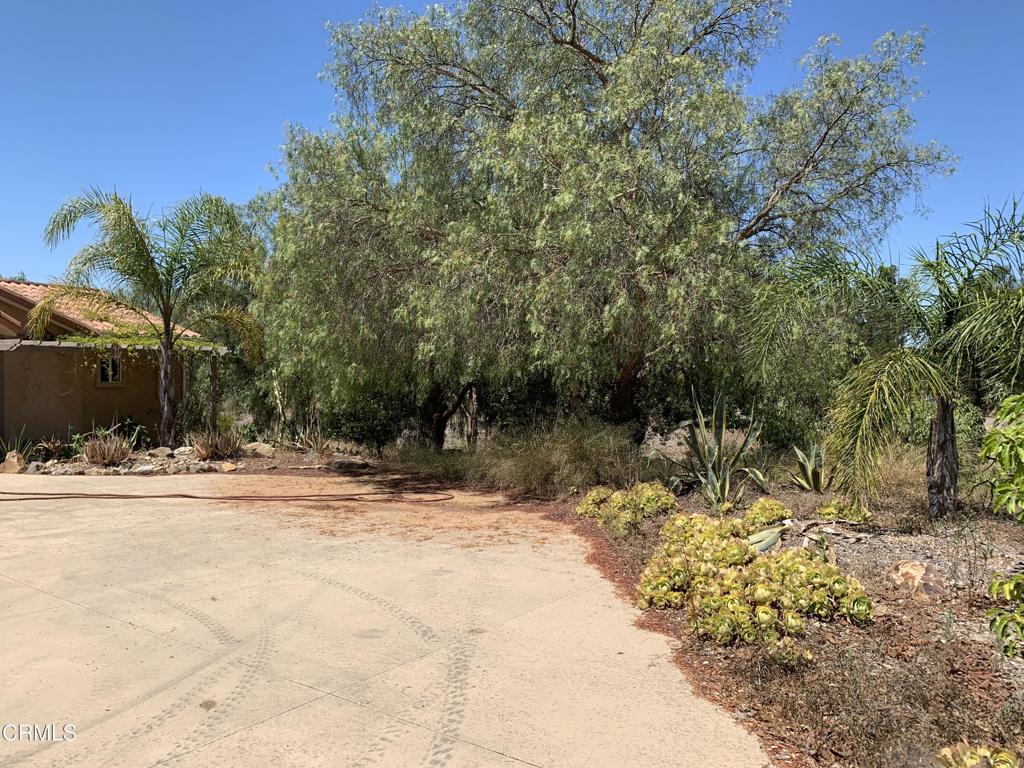 9210 Stockton Road Property Photo 18