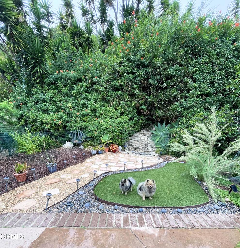 1231 Las Lomas Place Property Photo 13