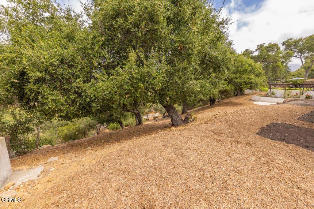 2999 Valley Meadow Drive Property Photo 27