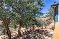 30435 Horsethief Drive Property Photo 56