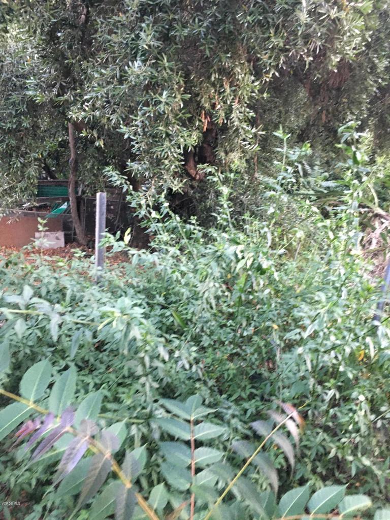 0 Edendale Place Property Photo 2