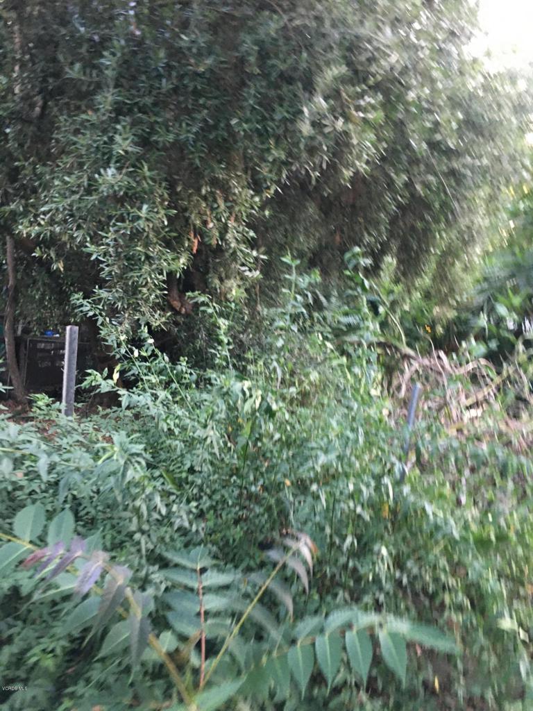 0 Edendale Place Property Photo 8
