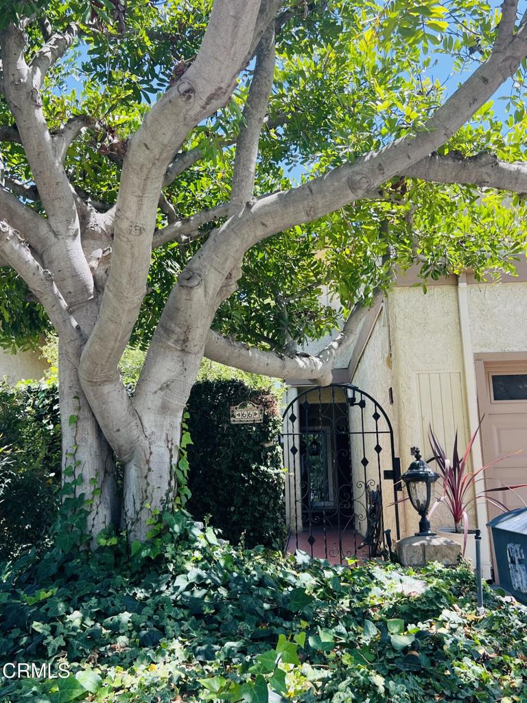 66 Paseo Esplendido Property Photo 3