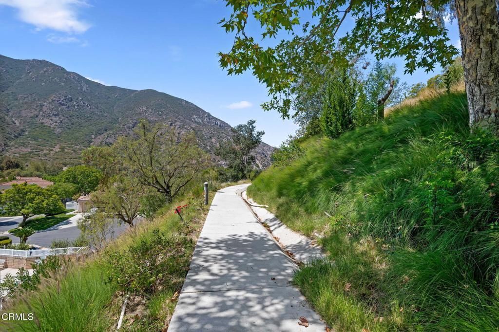 6030 Via Montanez Property Photo 33