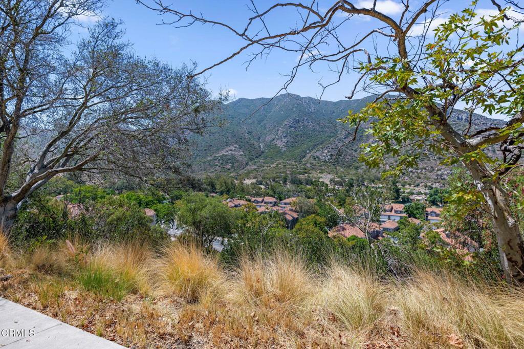6030 Via Montanez Property Photo 34