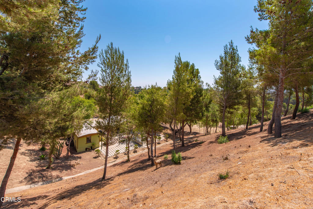 8450 Waters Road Property Photo 17