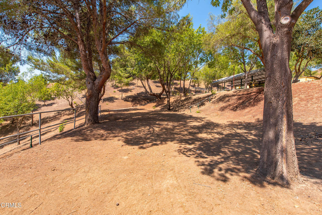 8450 Waters Road Property Photo 31