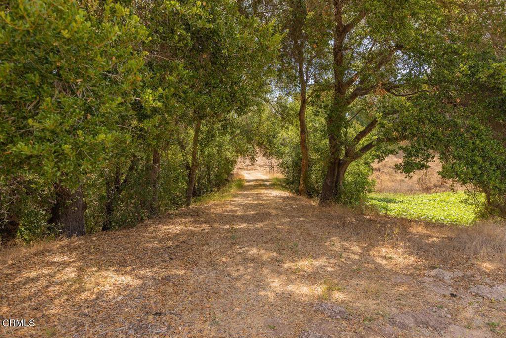 1410 Baldwin Road Property Photo 2