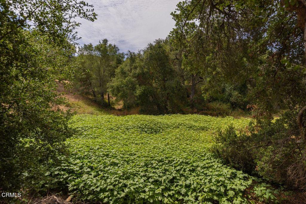 1410 Baldwin Road Property Photo 3