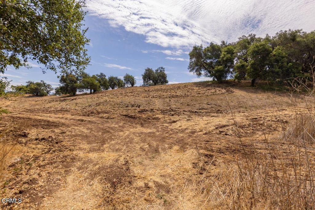 1410 Baldwin Road Property Photo 12