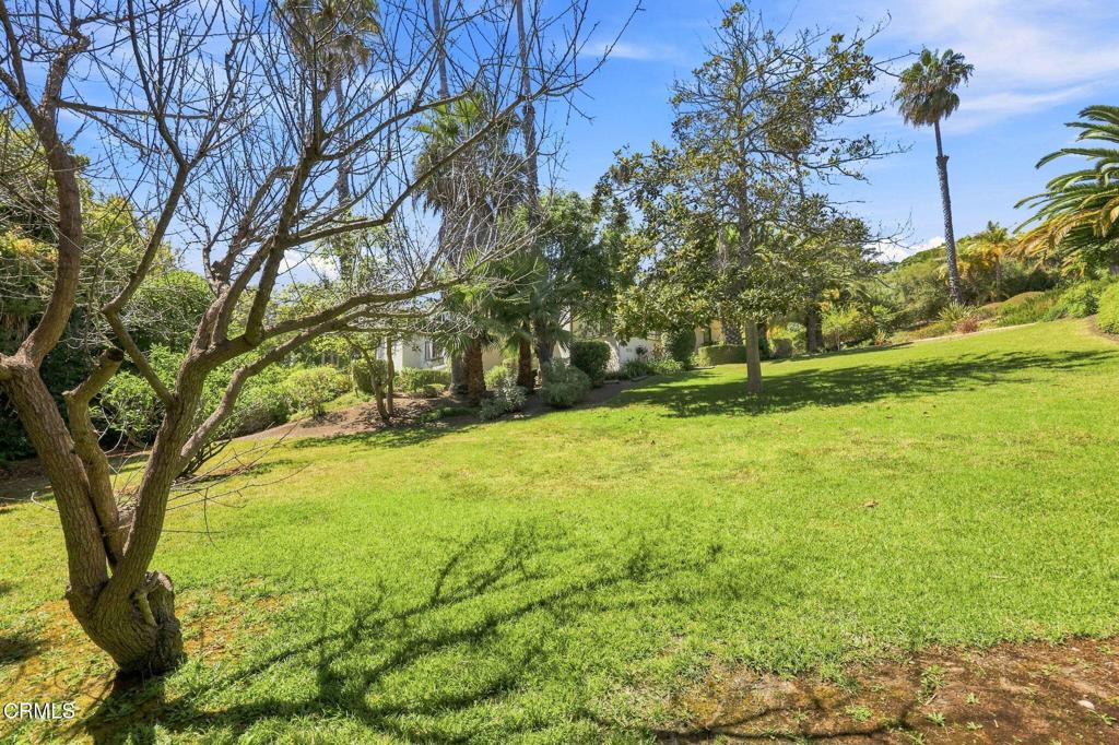1151 Glenview Road Property Photo 74