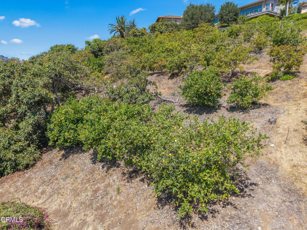 0 View Drive Property Photo 13