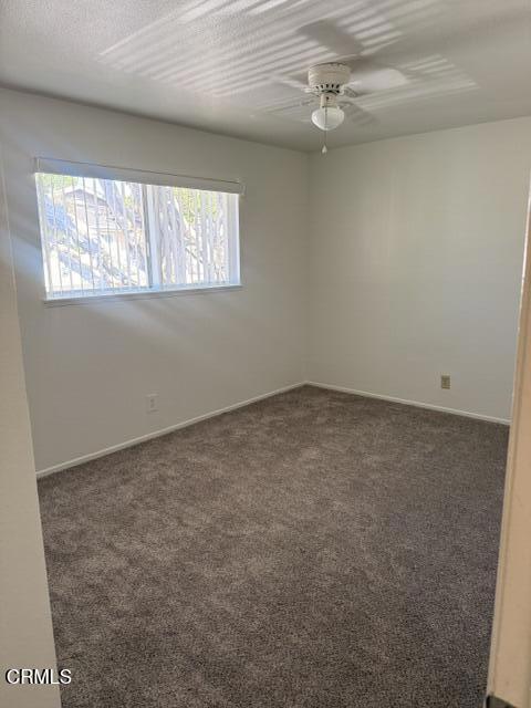 2636 Tiller Avenue Property Photo 12