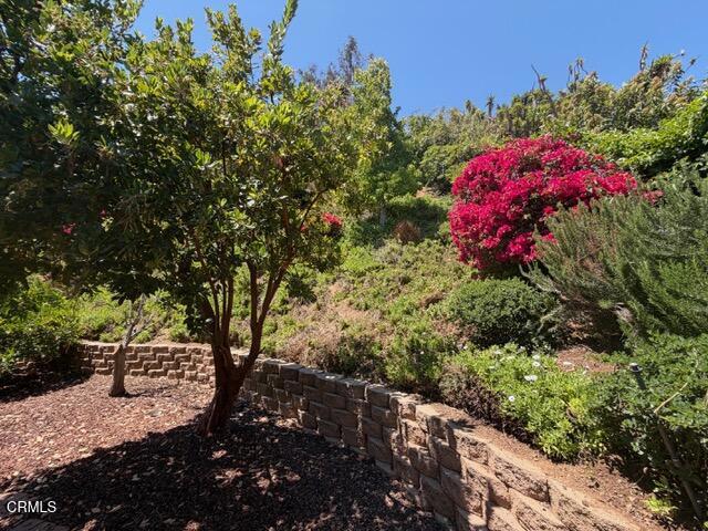657 Dana Drive Property Photo 49