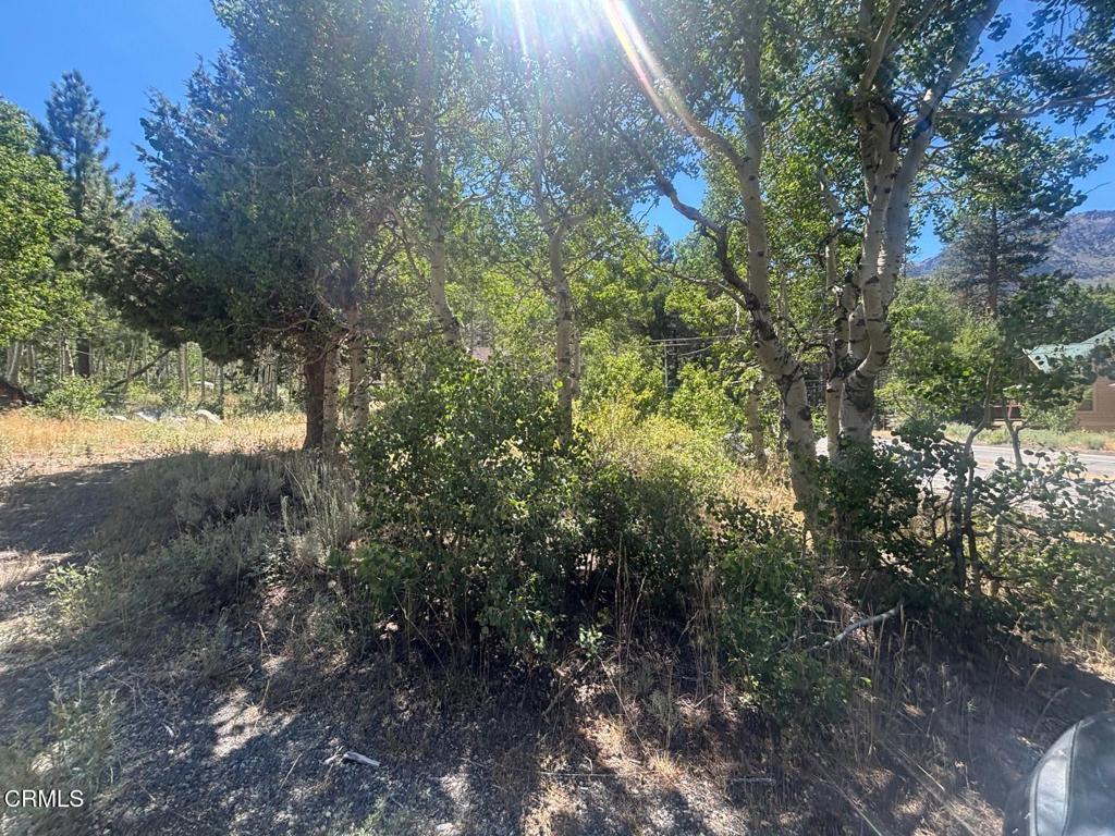 0 Unassigned Property Photo 1