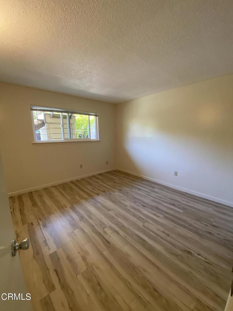 505 Brizzolara Street Property Photo 5