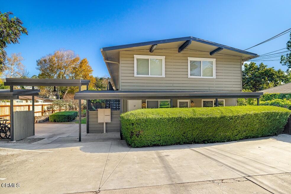 505 Brizzolara Street Property Photo 12