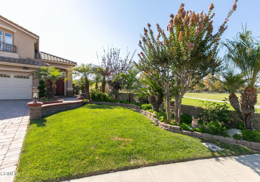 493 Avenida Valencia Property Photo 3