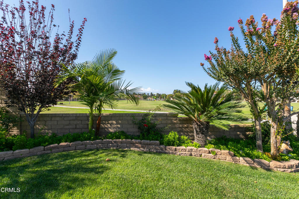 493 Avenida Valencia Property Photo 4