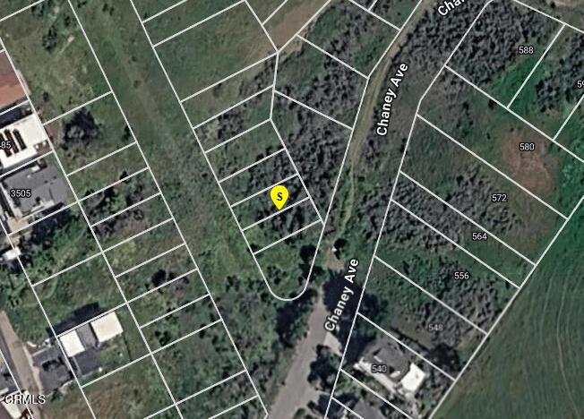 0 Chaney Avenue Property Photo 1