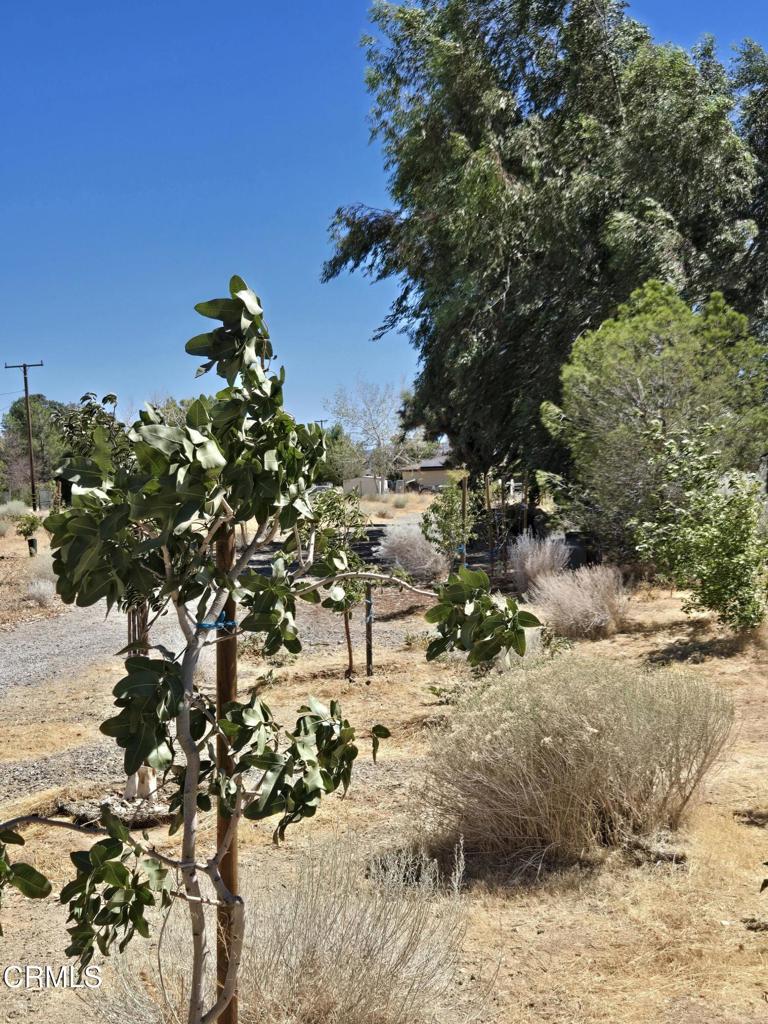 0 W Cor 12thw Avenue N-8 Property Photo 3