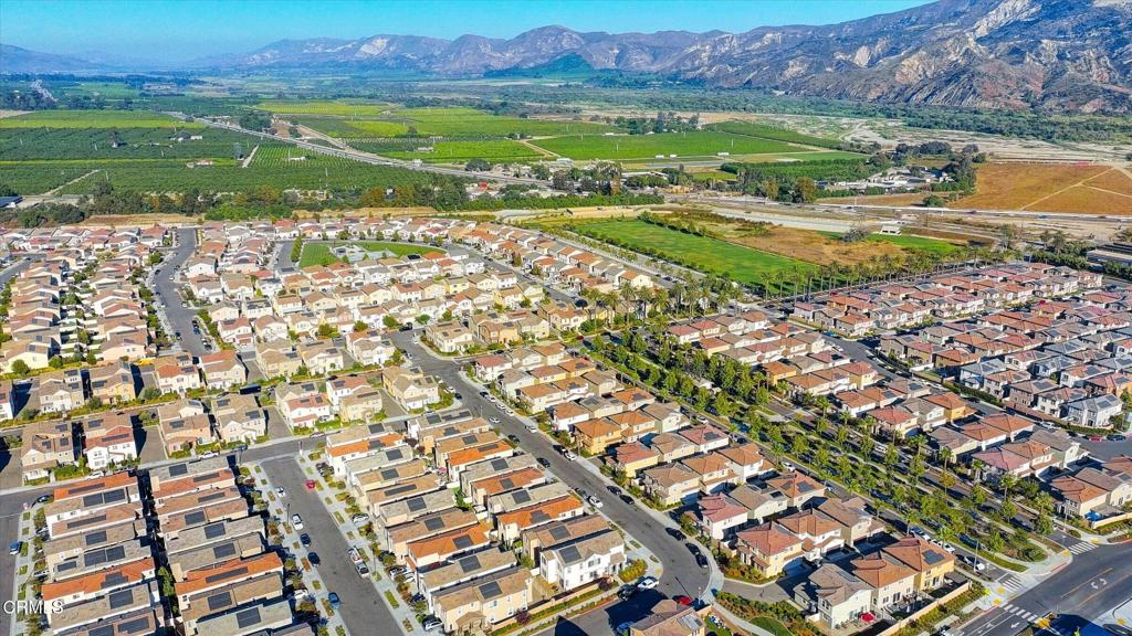 1951 Tangelo Way Property Photo 44