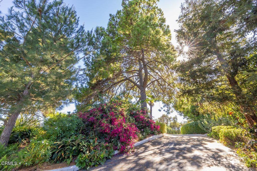 11111 Foothill Road Property Photo 32