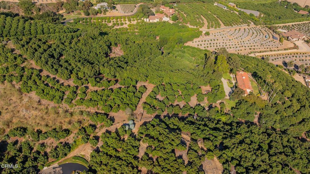 11111 Foothill Road Property Photo 34