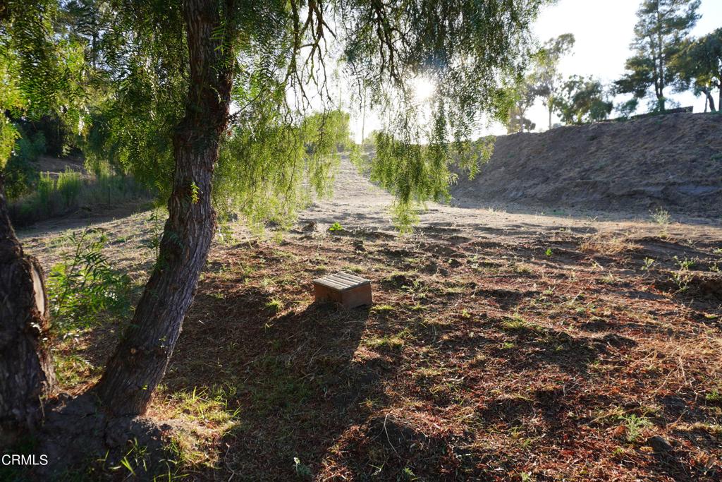 0 Vientos Road Property Photo 14