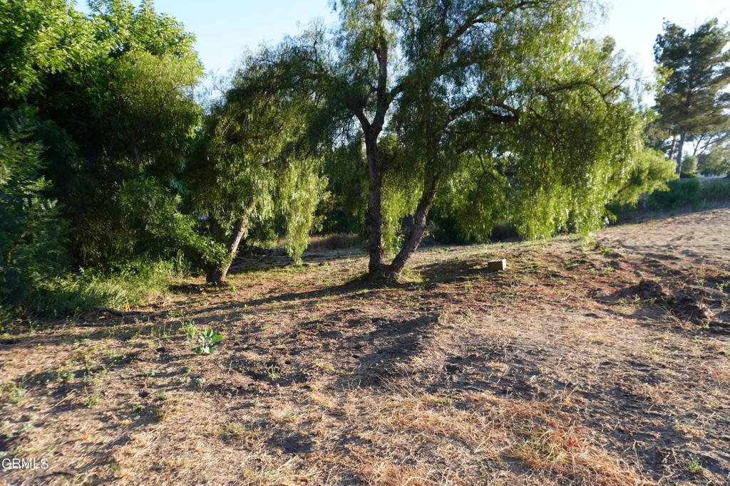 0 Vientos Road Property Photo 20