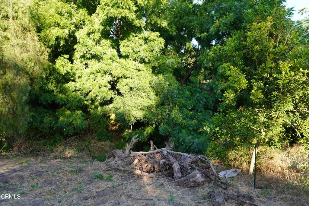 0 Vientos Road Property Photo 23