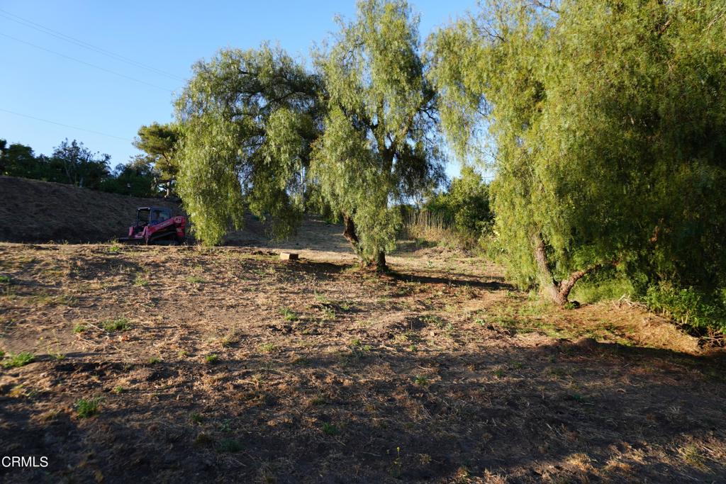 0 Vientos Road Property Photo 24
