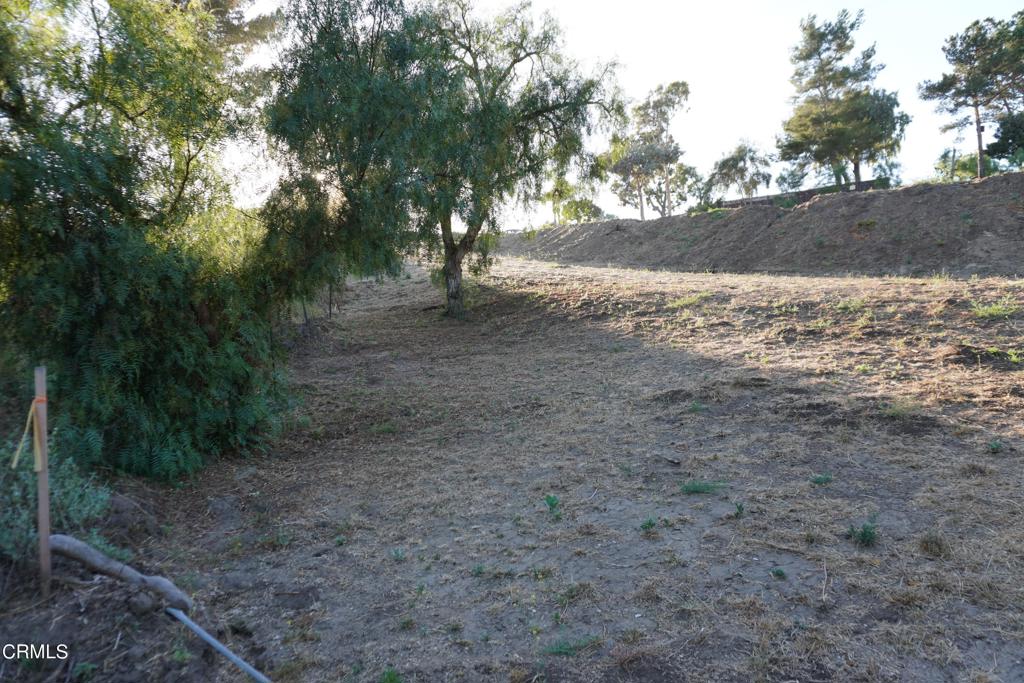 0 Vientos Road Property Photo 25