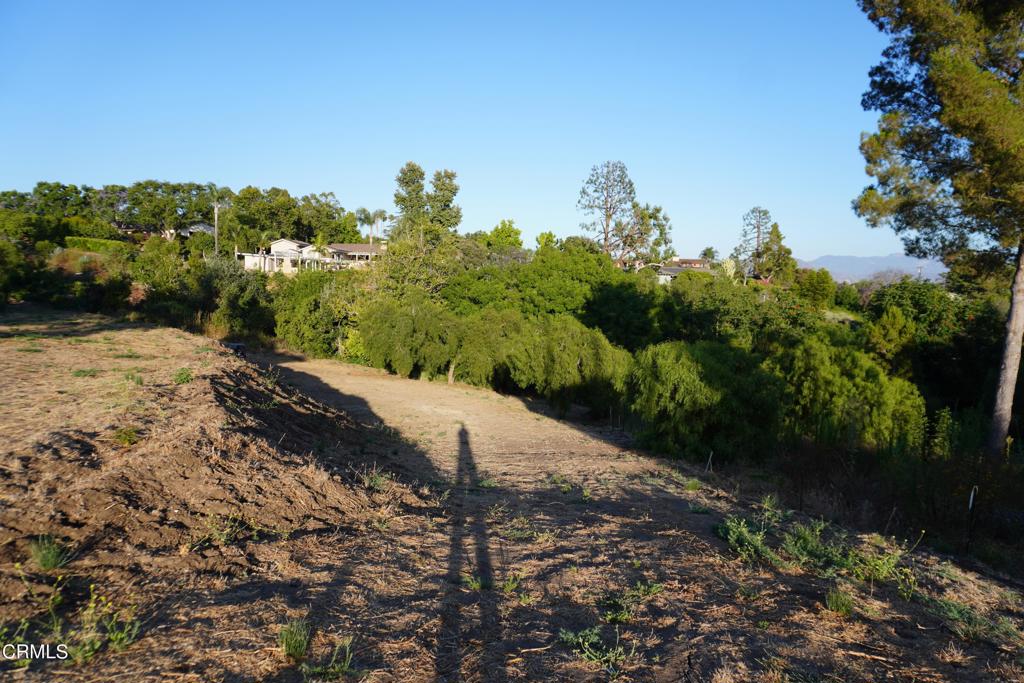 0 Vientos Road Property Photo 29