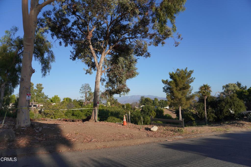 0 Vientos Road Property Photo 30