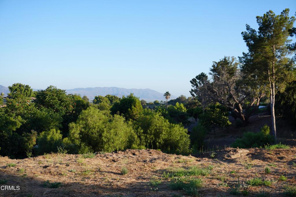 0 Vientos Road Property Photo 35